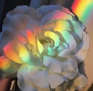 Meet your Posher, Anikah